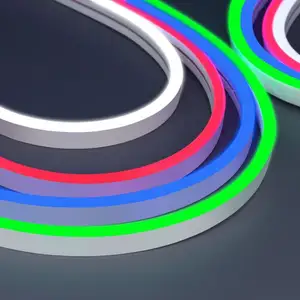 Ha portato Al Neon Luce di Striscia di Rgb Esterna 12V 24V di Illuminazione e Circuiti Design ROHS del Ce 3 ANNI di Rame stadi