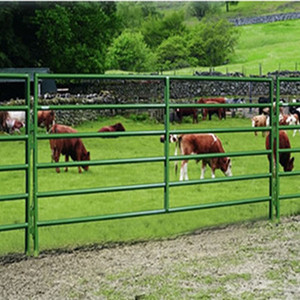 Скот в загон панелей/лошадь загон панелей/скота, используемых панелей - Product Image 6