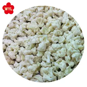 Высокое качество и Лучшая цена для замороженного риса кауфлюры IQF, разрезанного или флоретного в замороженных овощах IQF