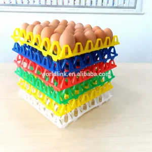 Ovos de codorna de plástico HDPE e PP coloridos mais vendidos e bandeja de ovos em embalagens para agricultura