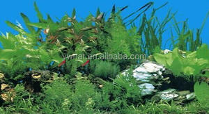 אקווריום רקע פוסטר דגי טנק כפול צד אלמוגים רוק נוף פוסטר קיר תפאורה 30cm-100cm - Product Image 4