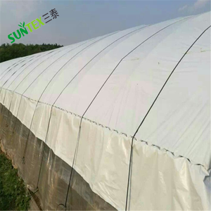 <span class=keywords><strong>Film</strong></span> Plastico per Serre in LDPE <span class=keywords><strong>Bianco</strong></span> <span class=keywords><strong>e</strong></span> <span class=keywords><strong>Nero</strong></span>, Copertura per Serre in Polietilene Resistente ai Raggi UV, Pellicola Panda da 150 Micron, Dimensioni Personalizzabili - Product Image 6