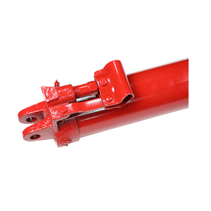 12 Ton acero color rojo largo Ram gato hidráulico bomba de aceite para grúa - Product Image 6