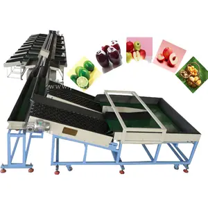 CE Approved Electronic Apple Grading Equipment/Apple Sorting Machine
