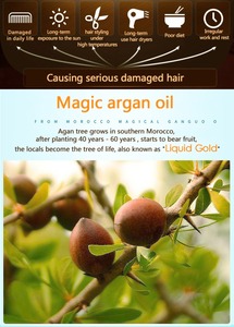 Fornitore Professionale OEM ODM di Prodotti per Capelli, Olio di Argan Marocchino Puro per Salone di Bellezza - Product Image 4