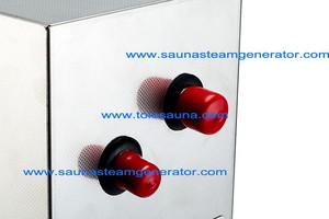 220 V Portable machine à vapeur Samall générateur de vapeur - Product Image 3