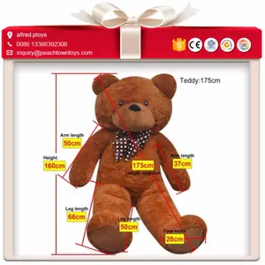 批发毛绒玩具供应商人力尺寸泰迪熊