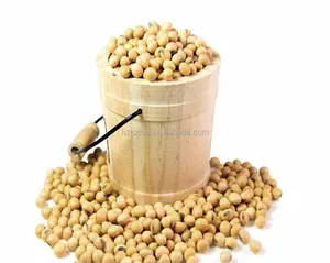 Food emulsifier Isolated Soy protein ISP Soybean Protein Isolate