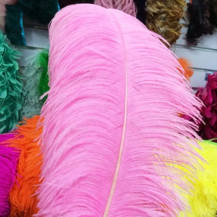 Plumes <span class=keywords><strong>d</strong></span>'autruche roses, 1 pièce, Plumes <span class=keywords><strong>d</strong></span>'autruche, différentes couleurs, pour le carnaval