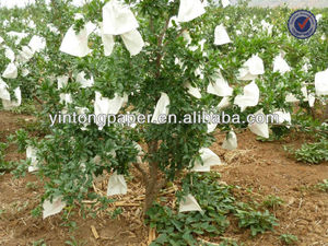 ถุงฝรั่งป้องกันผลไม้สั่งทำ - Product Image 4