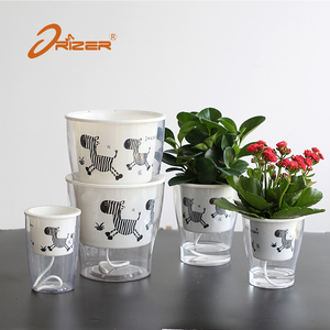 Free Sample Wholesale Biodegradable <strong>clear</strong> zebra Pattern Plastic <strong>Orchid</strong> Seedlings Plant Nursery Flower <strong>Pots</strong> - Product Image 4