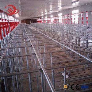 Il tubo d'acciaio della fabbrica ha usato il <span class=keywords><strong>recinto</strong></span> del <span class=keywords><strong>maiale</strong></span> dell'attrezzatura agricola delle scrofe della cassa di parto del <span class=keywords><strong>maiale</strong></span> - Product Image 1