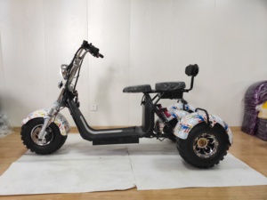 Scooter électrique Fat Wheel Citycoco 1500w à 3 roues, tricycle à propulsion électrique avec batterie amovible - Product Image 6