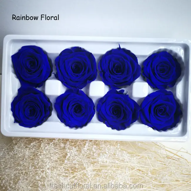 Preserved roses wholesaler A grade blue preserved roses long live flower