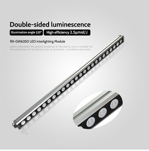 Barra de Cultivo LED de Doble Cara de 60w 120w 200w 180w 240w 300w, Iluminación Interior para Cultivo, Utilizada en Cultivo de Tomates en Holanda - Product Image 6