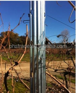 Farm utilizzato vineyard stakes/fence post vendita - Product Image 4