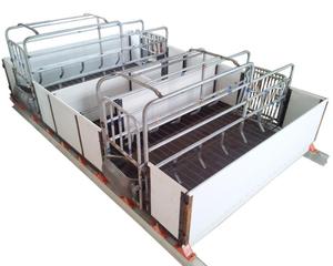 <span class=keywords><strong>Pig</strong></span> đẻ crate để bán - Product Image 1