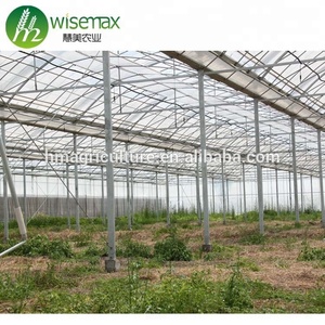 Struttura d'acciaio galvanizzata Tunnel commerciale del pomodoro del rivestimento dello zinco 275g/sqm - Product Image 3