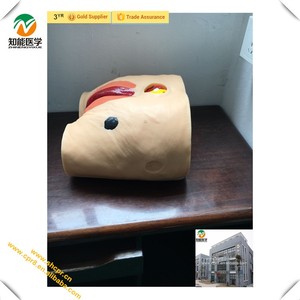 BIX-H10 Ciencia Médica úlcera de decúbito cuidados de enfermería maniquí - Product Image 1