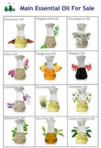 Saf ve Doğal terebentin yağı Gelen fiyat 85% veya 65% Çam Rosin, Organik Çam Yağı - Product Image 4