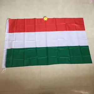 hot selling all size of polyester national flag of Hungary