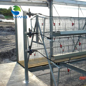 Progettazione di Allevamenti Industriali di Polli a Basso Costo in <span class=keywords><strong>Pakistan</strong></span> - Product Image 6