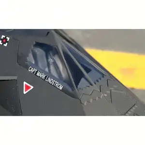 Fighter F117 2.4G rc model plane