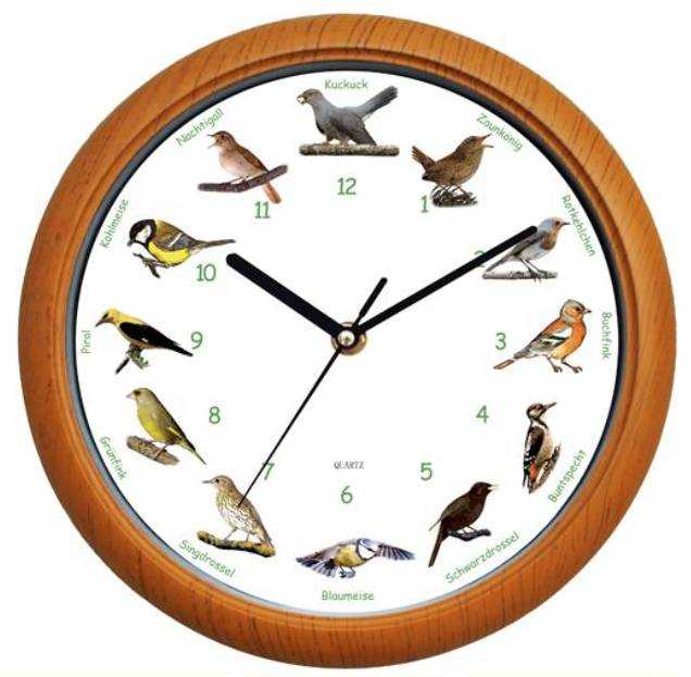 german birds