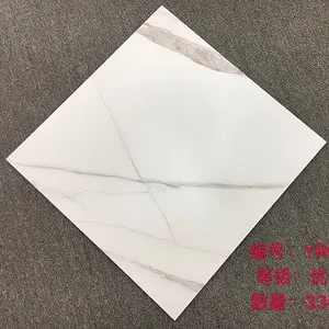 600 × 600磁器施釉タイルの床のための特別提供