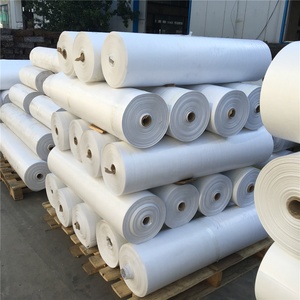 Trung Quốc Nhà Sản Xuất Tất Cả Các Loại Không Thấm Nước Heavy Duty Tarp Canvas PE Tarpaulin CuộN - Product Image 4