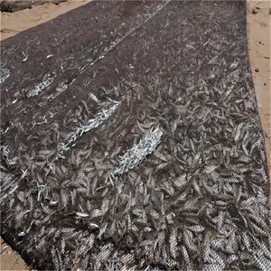 Jaring Jala Plastik/Jaring Cetak/Jaring Ikan