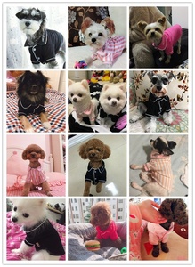 Heyri Piaraan 2022 Piyama Anjing Piaraan Penjualan Laris Di Korea Eropa Amerika Harian Tidur Lembut Katun Nyaman Pakaian Piama Anjing Piaraan - Product Image 6