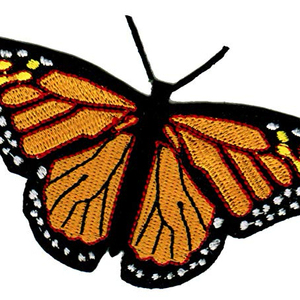 Neueste Art Modische Custom ized Insects Serie Eisen auf Stick flecken - Product Image 1