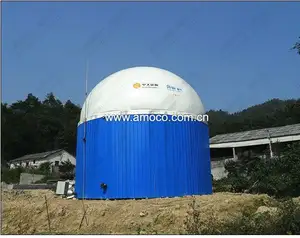 Binnenlandse Biogas Container Op Biogas Vergister