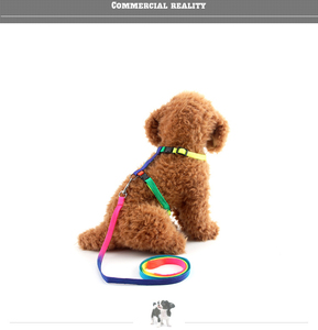 Kalung Anjing 7 Warna <span class=keywords><strong>Pp</strong></span> Sampel Gratis untuk Anjing dan Kucing Aksesori <span class=keywords><strong>Harness</strong></span> dengan Tali Kekang Kucing Peliharaan - Product Image 6