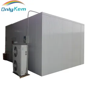 Walk In Chiller Cold Room Solar Powered Cold Store Container Industrial Refrigerator