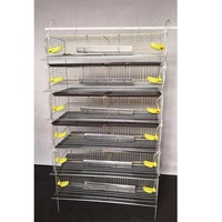 Cage à cailles de haute qualité pour 300 cailles, équipement d'élevage de cailles, cage de ponte pour cailles, galvanisation à chaud