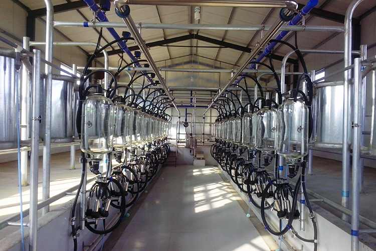 500L stainless steel 304 double jacketed storage tank milk cooler machine