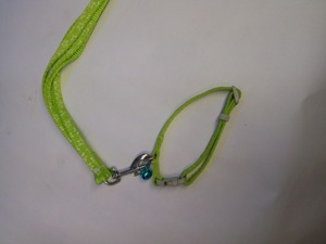 Correa de perro Jacquard retráctil con efecto reflectante fiable, estilo moderno, poliéster, característica de ruptura, patrón de letras decorado - Product Image 4