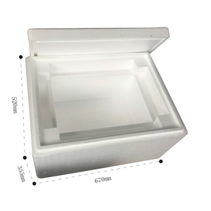 Styrofoam cooler box in EPS packaging boxes for seafood
