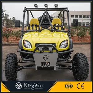 Trung quốc thiết kế mới 5kw điện utv xy