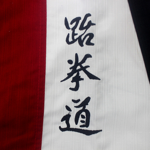 Venta al por mayor de algodón ligero de alta calidad <span class=keywords><strong>Dobok</strong></span> para Woosung Kickboxing & Taekwondo estilos uniforme Kimono de <span class=keywords><strong>mujer</strong></span> en venta - Product Image 5