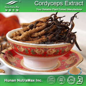 จีนผู้ผลิตเส้นใยเห็ด Cordyceps Sinensis <span class=keywords><strong>Extract</strong></span> - Product Image 3