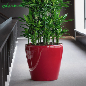 Pots <span class=keywords><strong>de</strong></span> fleurs Leizisure, pots auto-arrosants d'intérieur, systèmes hydroponiques, pots à arrosage automatique - Product Image 2