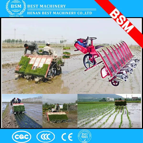 6 rows and 8 rows paddy walking rice transplanter
