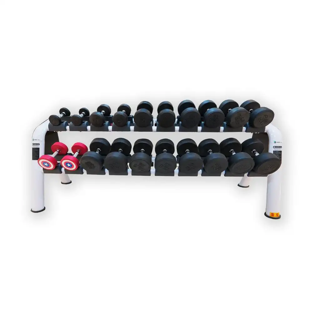Mesin Kebugaran Gym Peralatan 10 Pasang Dumbbell Rack, Tidak Termasuk Dumbbell Saja Harga Rak LZX Kebugaran 2033