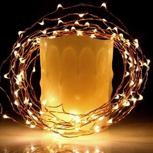 <span class=keywords><strong>Evermore</strong></span>-guirlande lumineuse LED 33 pieds, avec 100 LED, usage extérieur, luminaire décoratif, idéal pour un jardin, noël - Product Image 1