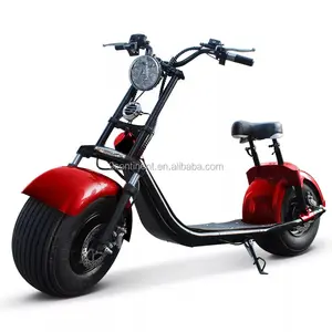 Terbaik Jual 1000W 60V 12A Baterai Lithium Citycoco 2 Wheel Electric Scooter