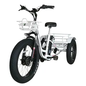 front and rear cargo basket three fat tire big wheel freestyle electric tricycles for sale