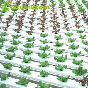 Fábrica de China, ¿cómo un Nft sistema hidropónico para los tomates trabajos de diseño - Product Image 4